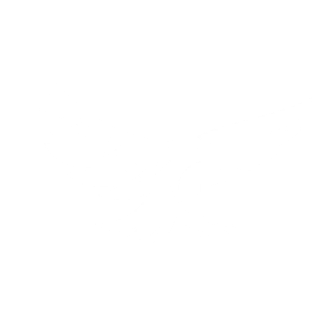 America Tax Group Watermark